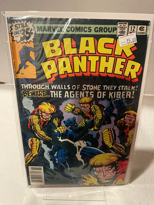 Black Panther (Issue 12)